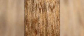 A few useful tips to provide autumnal care for your hair