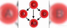 Blood type and infertility linked?