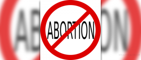 Couple aborted twin boys because they wanted a girl?