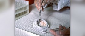 About bioidentical hormones
