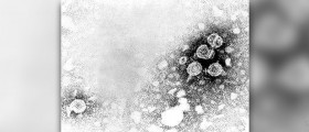 About chronic HBV