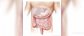 About digestive problems