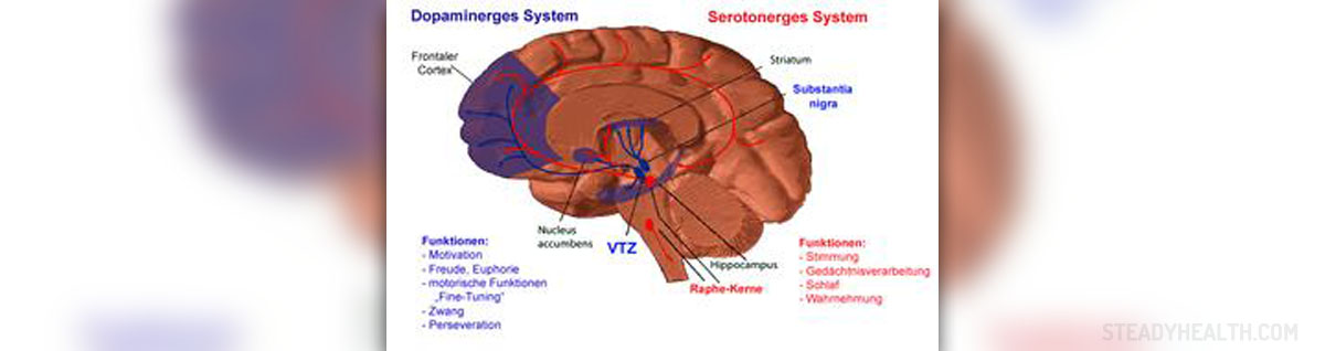 About dopamine neurotransmitter General center SteadyHealth com