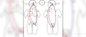 About endocrine system