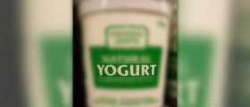Active yogurt and constipation