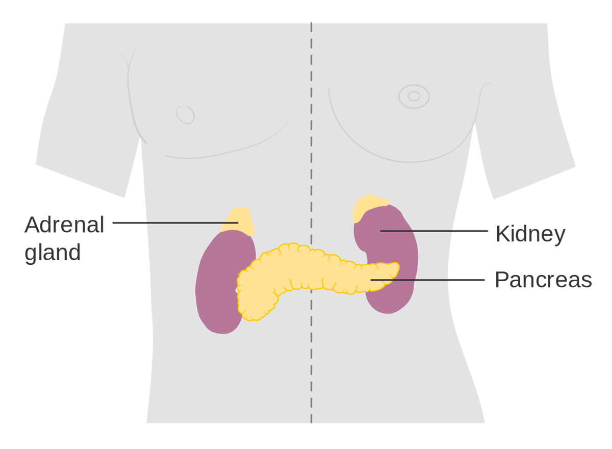 adrenal-fatigue-symptoms-and-how-sleep-is-affected