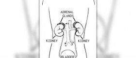 Adrenal gland disorders