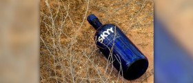 Alcoholic neuropathy facts