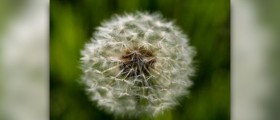 Allergy control products for asthma