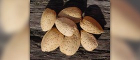 Almonds health benefits and nutrition facts