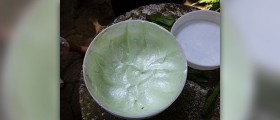 Aloe vera supplements