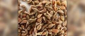 Anise seed benefits