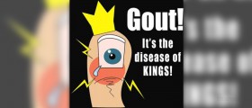 Anti gout diet