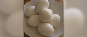 Are eggs good for you