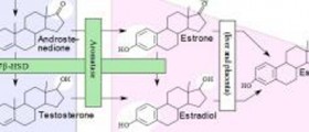 Aromatase inhibitors side effects