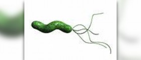 Bacterial vaginosis cure