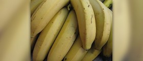Bananas and constipation