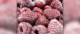 Basic understanding on nutripoints in future foods