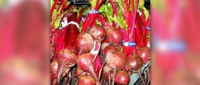 Beetroot nutrition facts