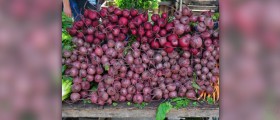 Beets health benefits