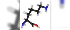 Benefits and side effects of L-lysine