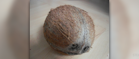 Benefits of coconut oil - health benefits of coconut oil