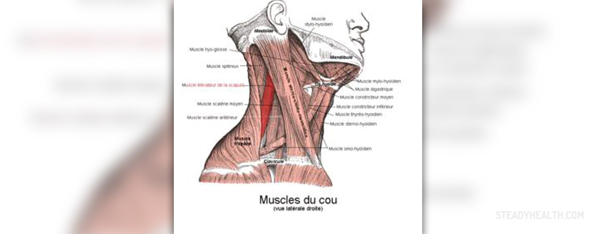 muscle twitching all over body at rest deficiency