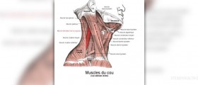 Benign muscle twitching