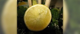 Bergamot essential oil