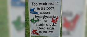 Best diet for hypoglycemia