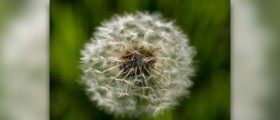 Best medication for seasonal allergies