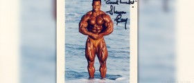 Best muscle building supplements for men