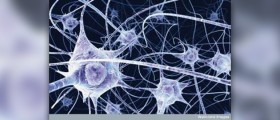 Best supplements for your brain