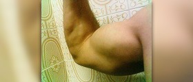 Bicep exercises without weights
