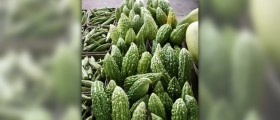 Bitter melon extract