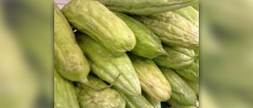Bitter melon health benefits