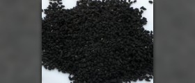 Black cumin seed