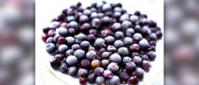 Black currant oil benefits
