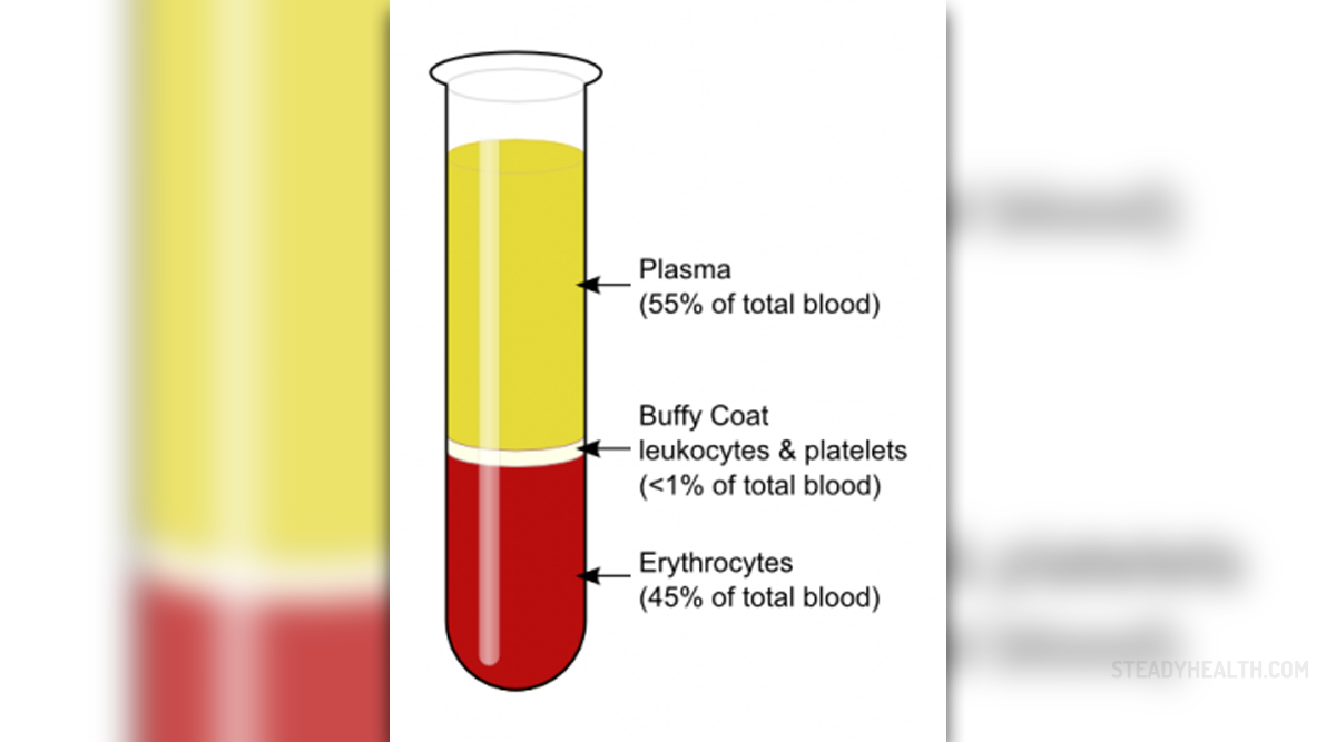 blood-in-urine-causes-general-center-steadyhealth