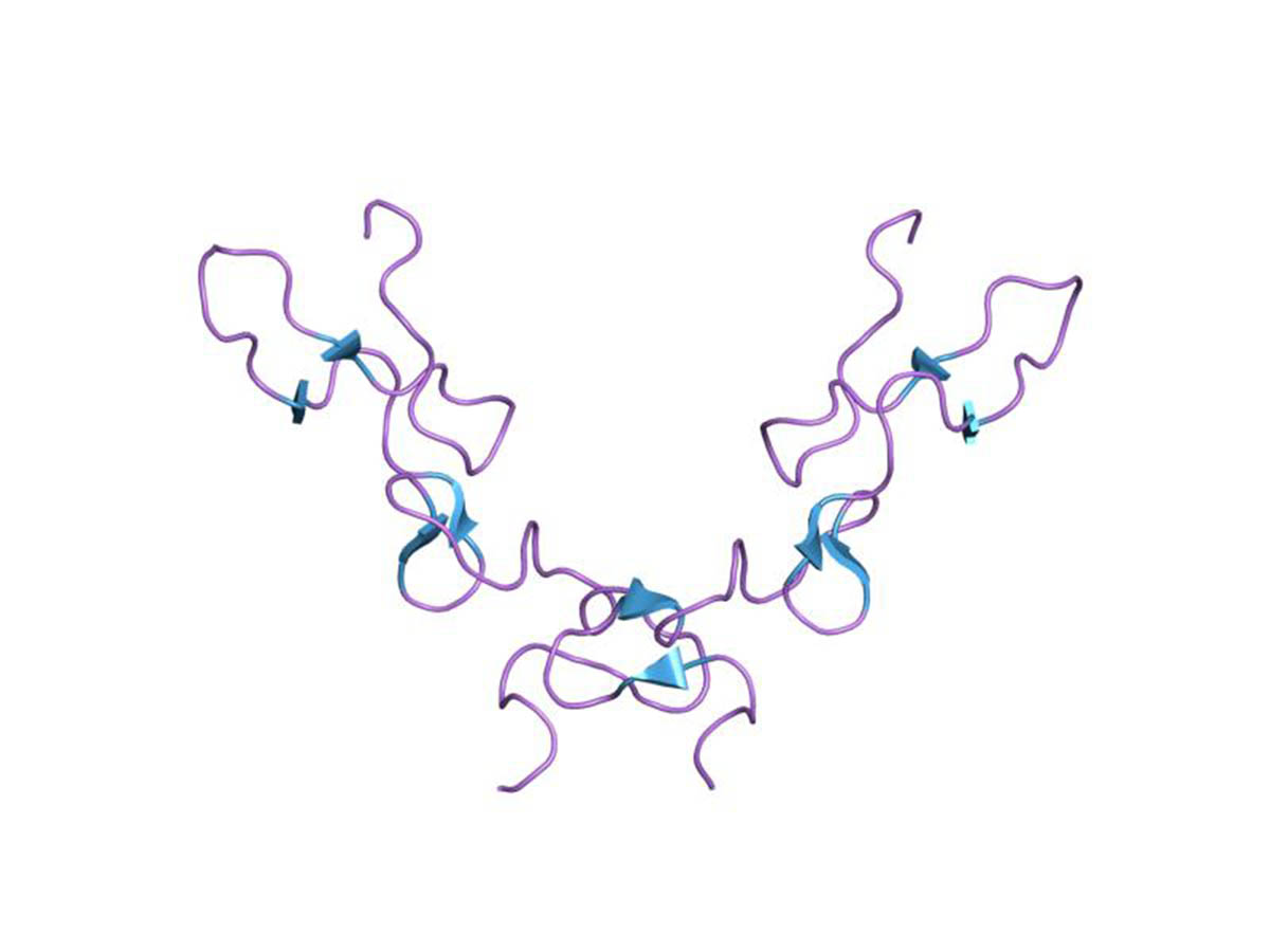 Blood Protein In Urine General Center SteadyHealth Com   Blood Protein In Urine 