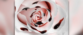 Implantation bleeding or period?