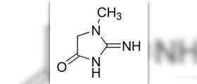 BUN and creatinine levels