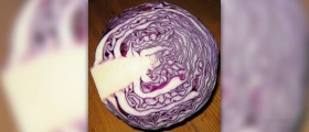 Cabbage soup diet