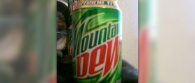 Caffeine effects on brain cancer