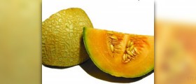 Calories in melon