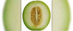 Cantaloupe calories facts