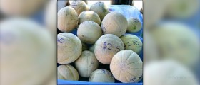 Cantaloupes health benefits