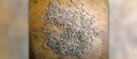 Caraway seeds facts