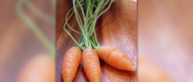 Carrots nutrition facts