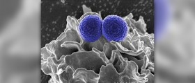 Causes of mrsa in children